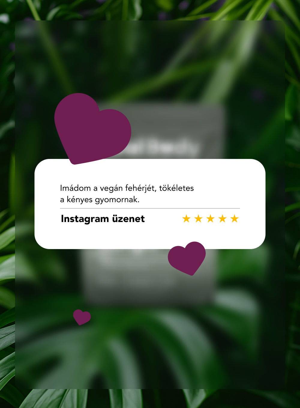 Vegan Jungle - A növényi táplálkozás legfinomabb választása